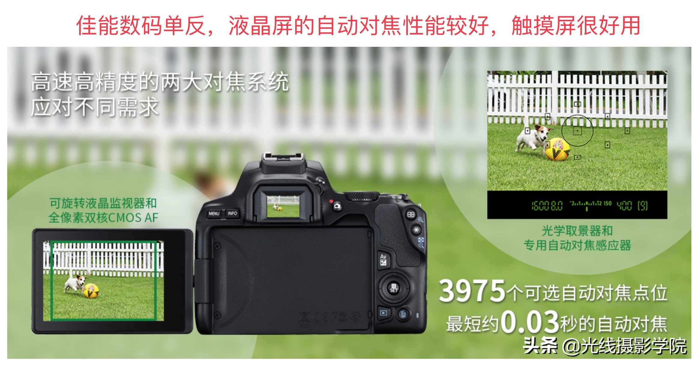 尼康数码单反是如何走向没落的？尼康数码单反大败局能够逆转吗？