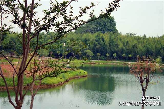 情感咨询|栗子姐每日情感问答(0330)