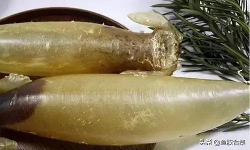 花胶一共有几种类型的品种,花胶种类中哪种最好