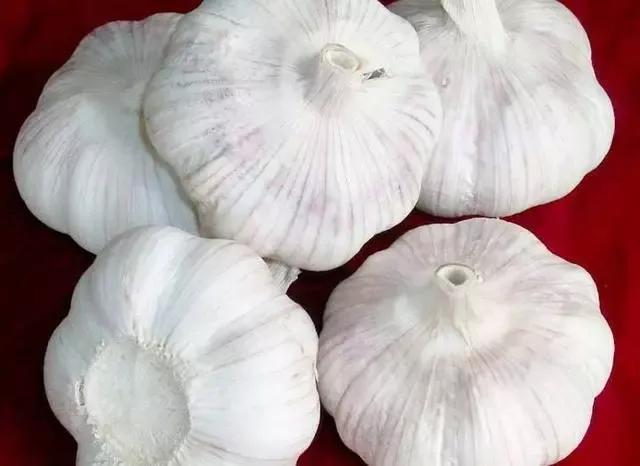 2023年的大蒜行情该怎么走,2021年至2022年大蒜行情走势