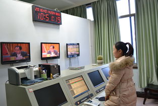 王娇养梅花鹿,梅花鹿王娇