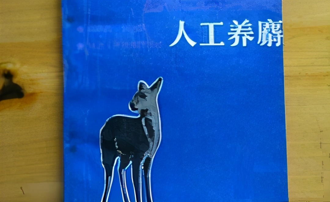 投资一家公司股票需要怎么分析,投资股票的十大要诀