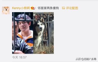 林更新表情包哈士奇,林更新张若昀狗子表情包主人