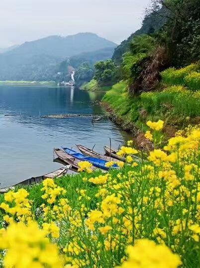 关于春天的成语和名言,关于春天的成语和短句子大全