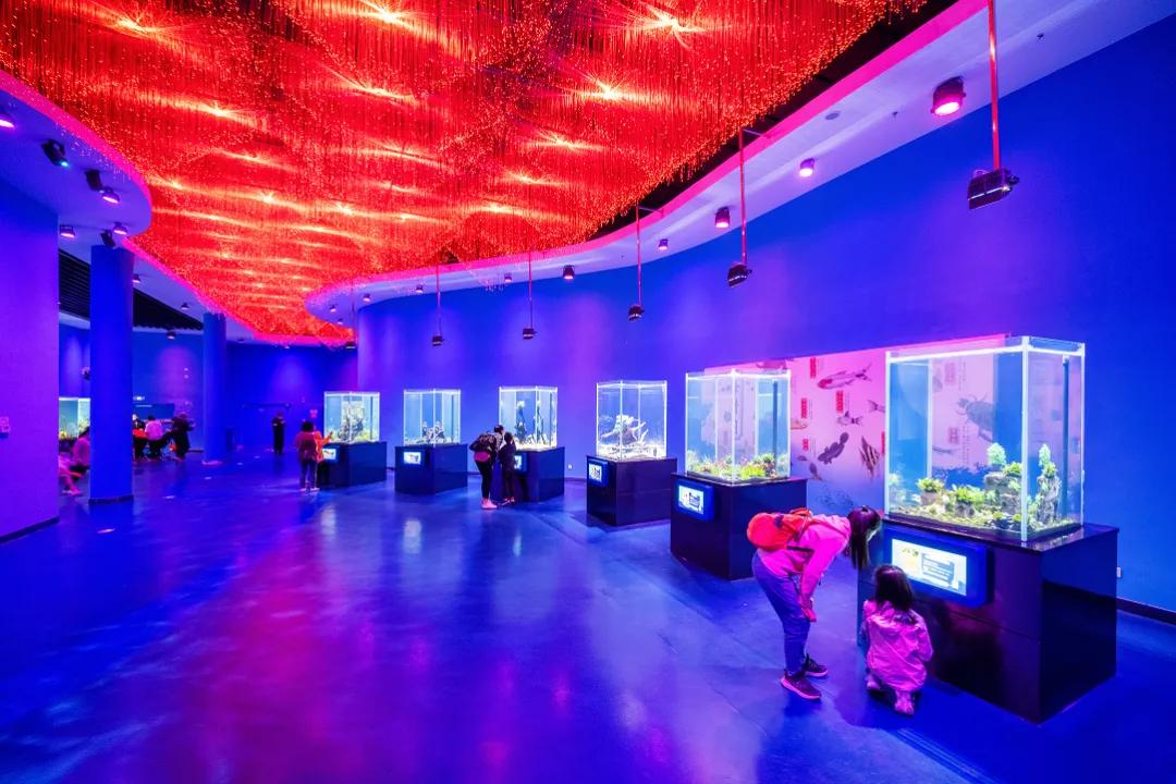 这个季节适合去济南哪旅游,济南十一假期游玩攻略