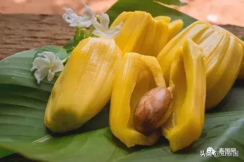 这种“亚洲贫民水果”，竟让泰印英三国爆发了“键盘口水战”