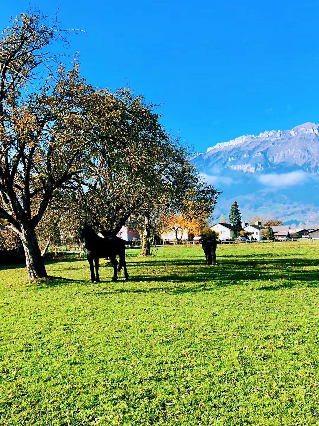 写作文错字漏字该怎么改美观,写作业粗心
