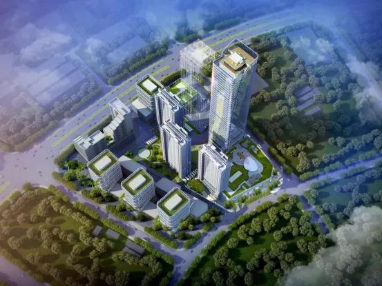 深圳第11区,深圳市第11区