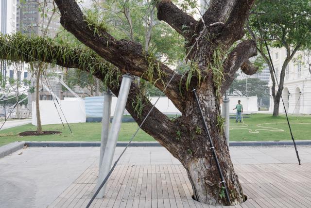 奥林巴斯摄影圈,奥林巴斯相机业务被谁收购