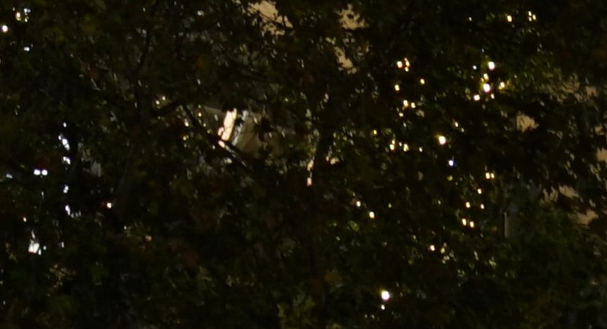 腾龙35-150mmf22.8二代z卡口,小身子大能量