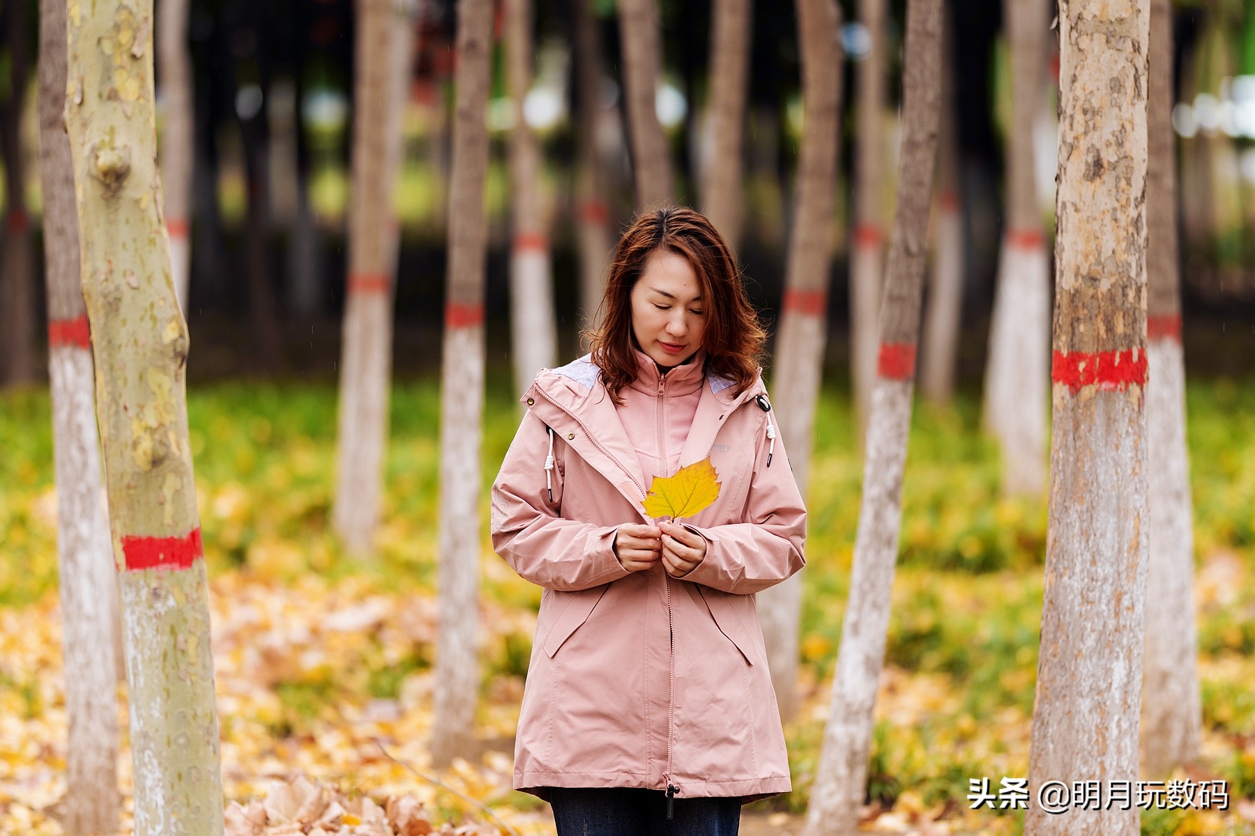 什么冲锋衣时尚好看,冲锋衣高级感秋冬时尚