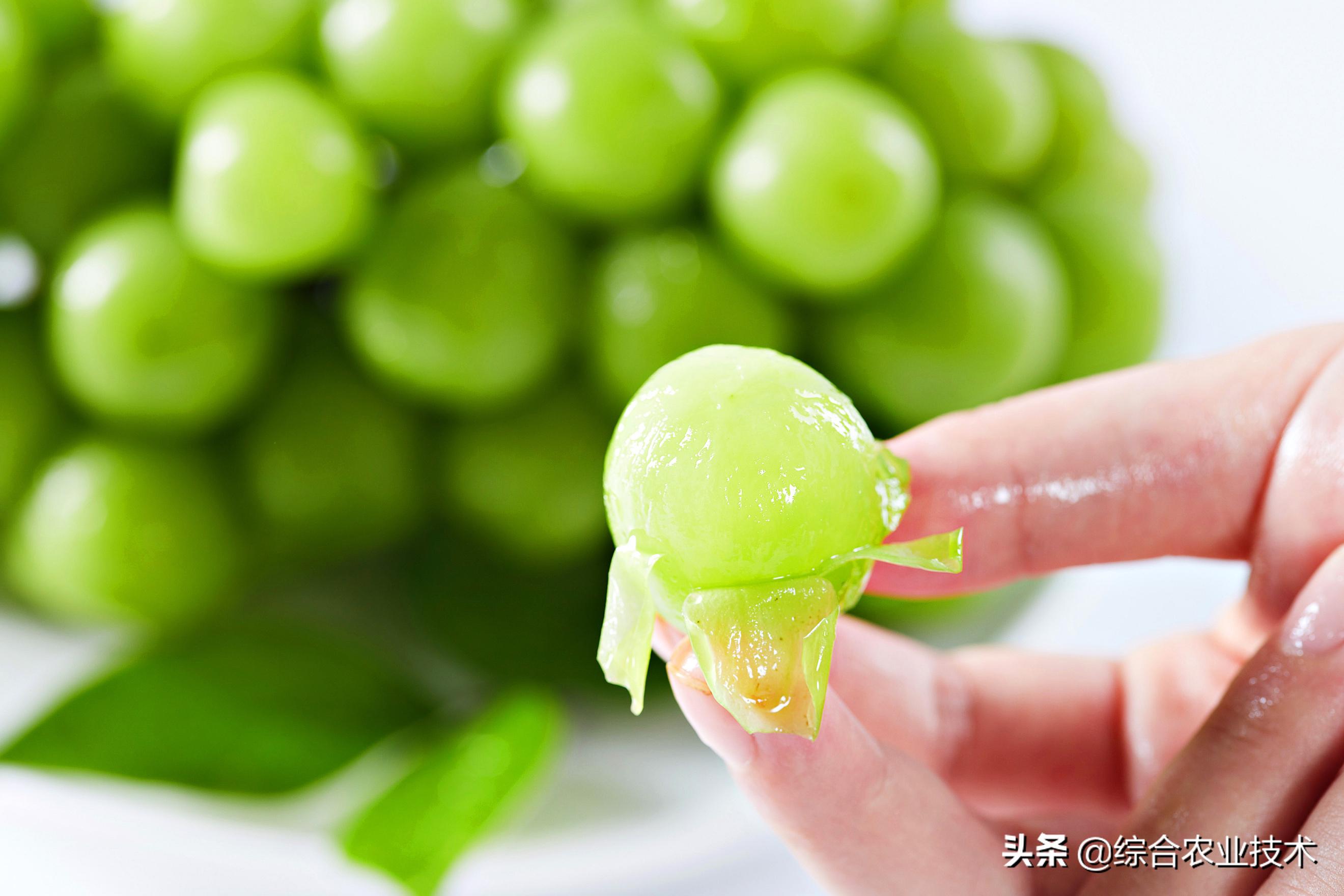 建水上亿富豪,身价上亿的电商老板