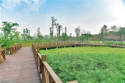 成都新增2个公园,成都到处都是公园城市