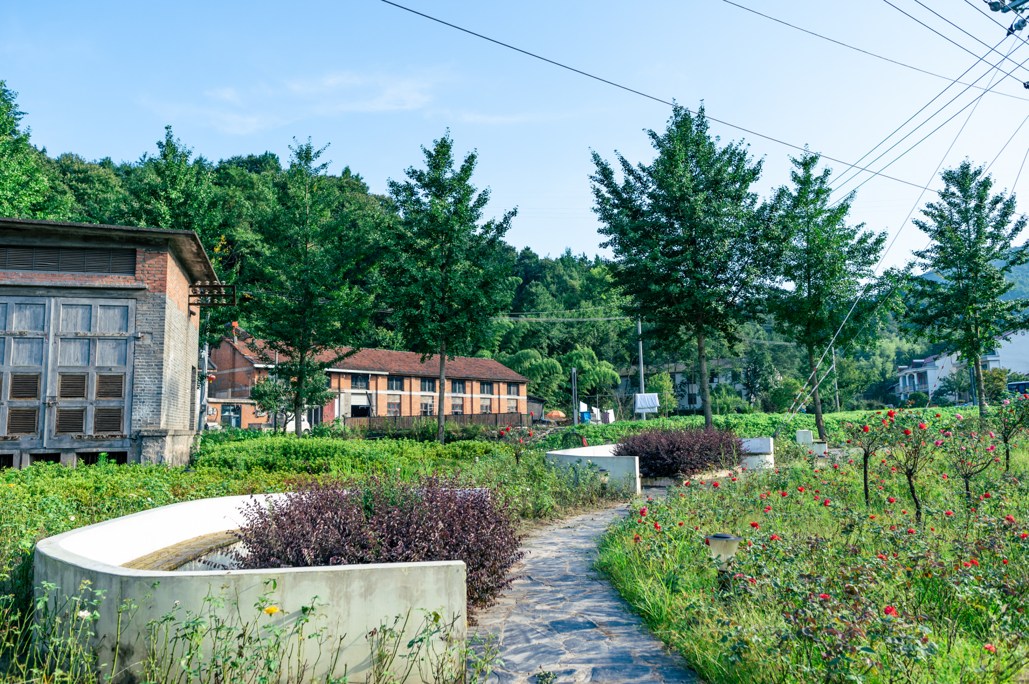 霍山附近的旅游景点有哪些,霍山县必去的十大景点