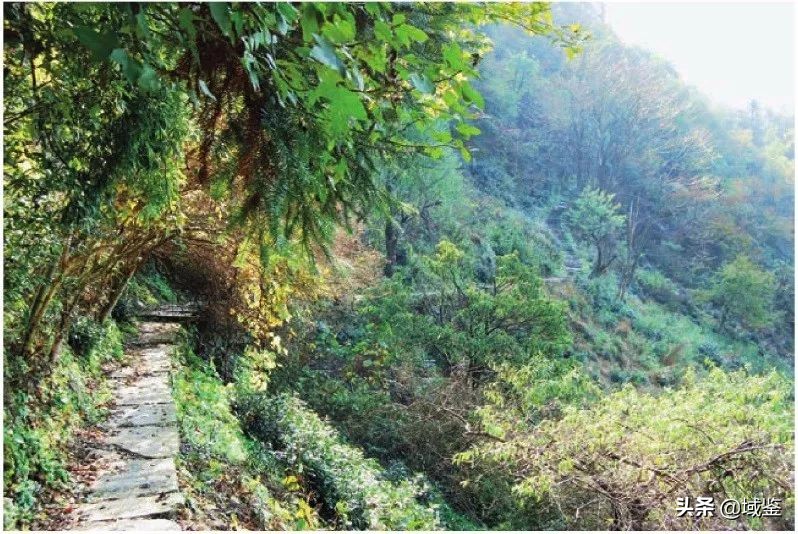 你可能从没意识到，原来这些东西也是*物文**