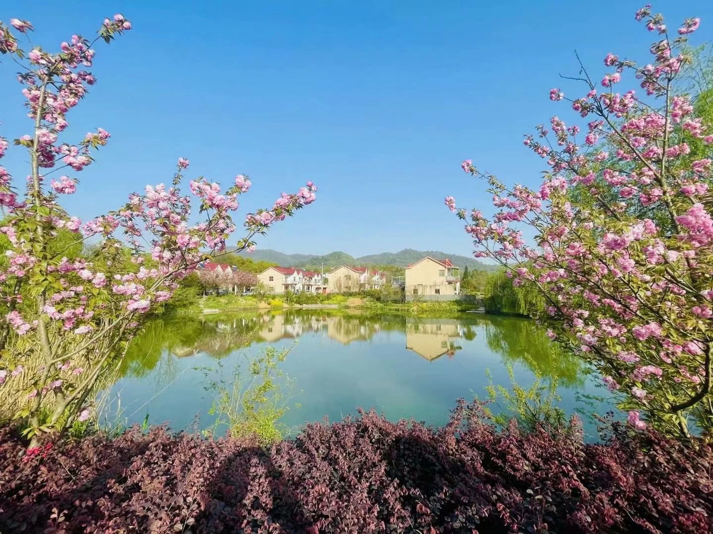 没必要伤春悲秋,时间不能停留