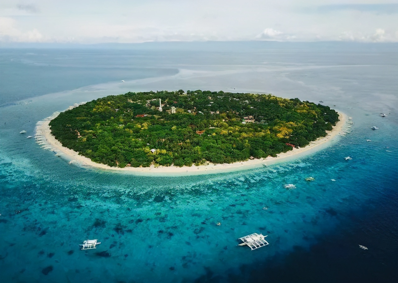 哪里的森林破坏最严重,8个破坏森林资源问题严重地区