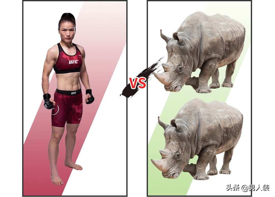 詹姆斯和张伟丽,詹姆斯能不能打赢大猩猩