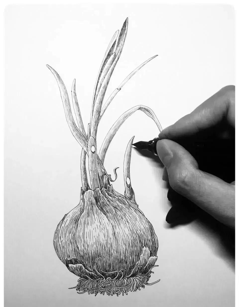 最简单的针管笔,如何练好针管笔