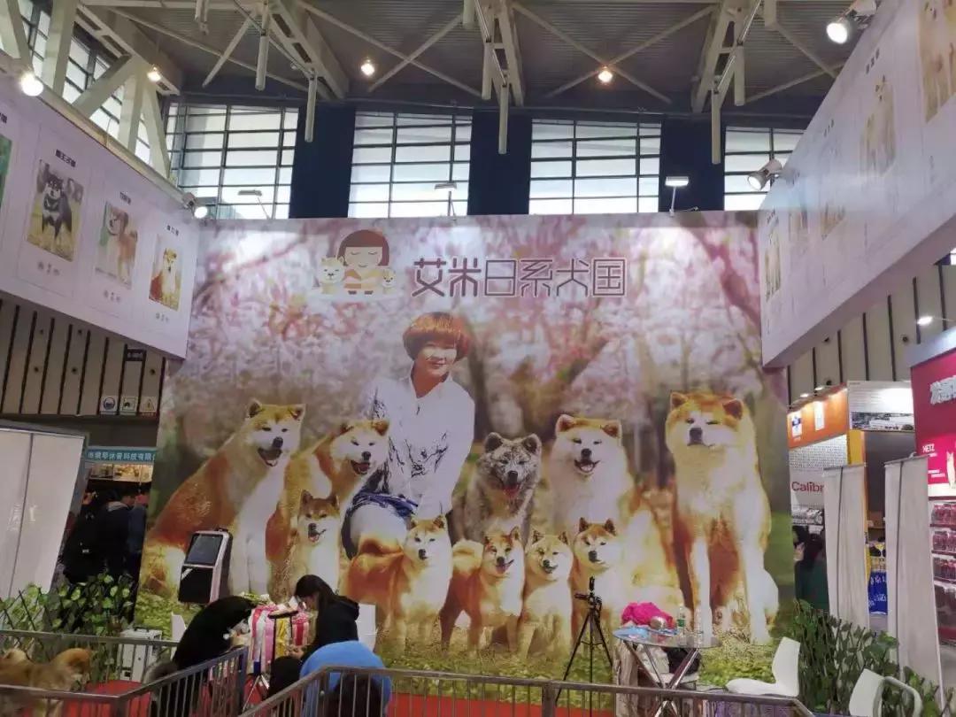 2019年第161届中国宠物文化节,2018年宠物文化节