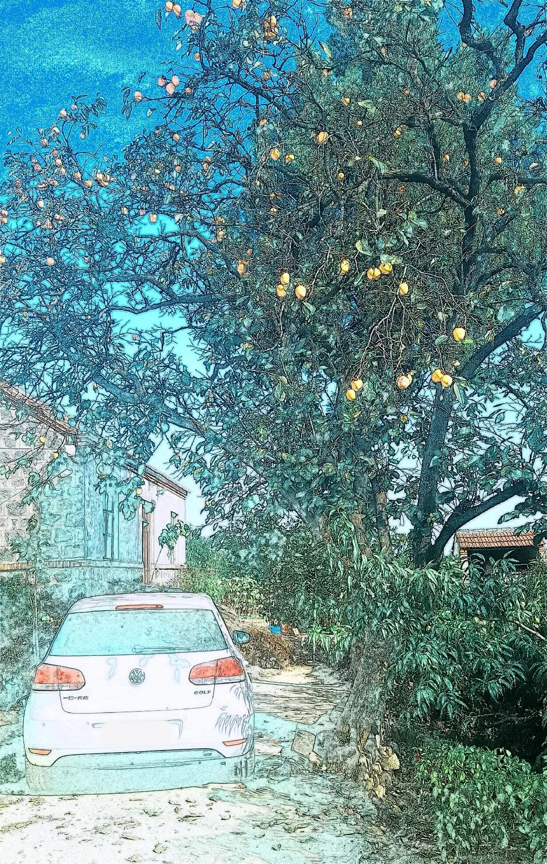 山东诺粉想买顶配日系中级车,却喜提丐版高尔夫6「诺粉来稿」