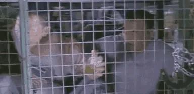 香港笼屋居住40年，他说：不是我住笼子，是看我的你们住笼子里