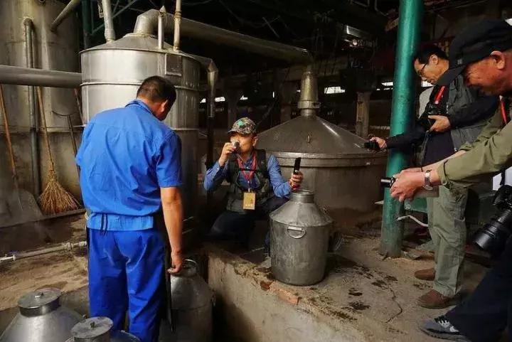 河南杜康酒业官网,豫酒振兴宝丰酒厂