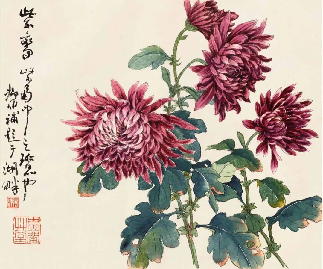 秋菊怎么画简单,秋菊花图片怎么画