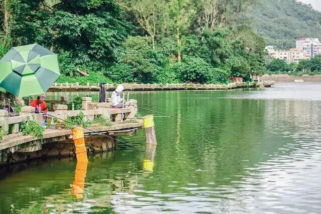 湖泊风景区推荐,深圳十大免费主题公园