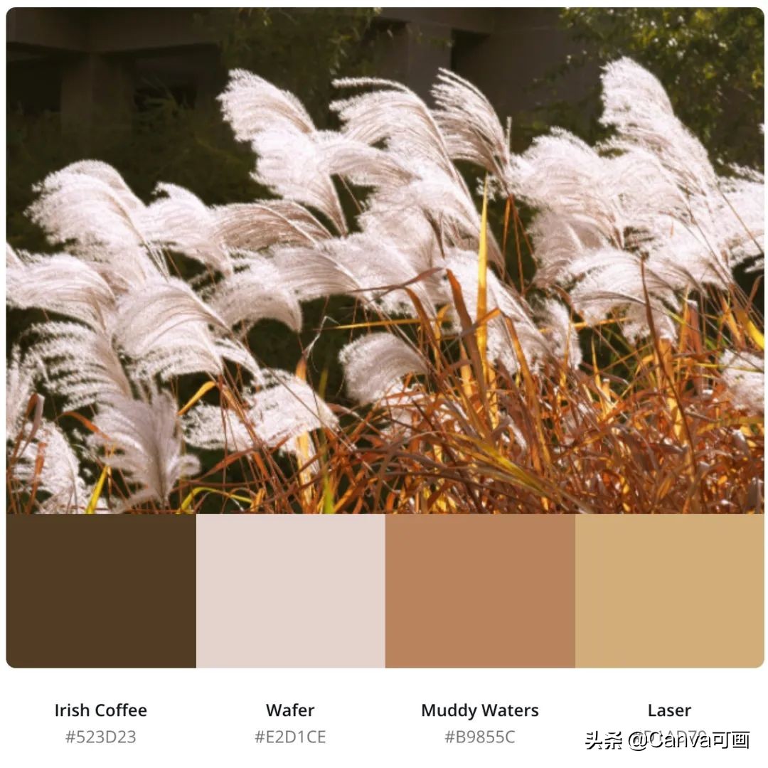 秋天配色插画秋高气爽,秋季高清插画