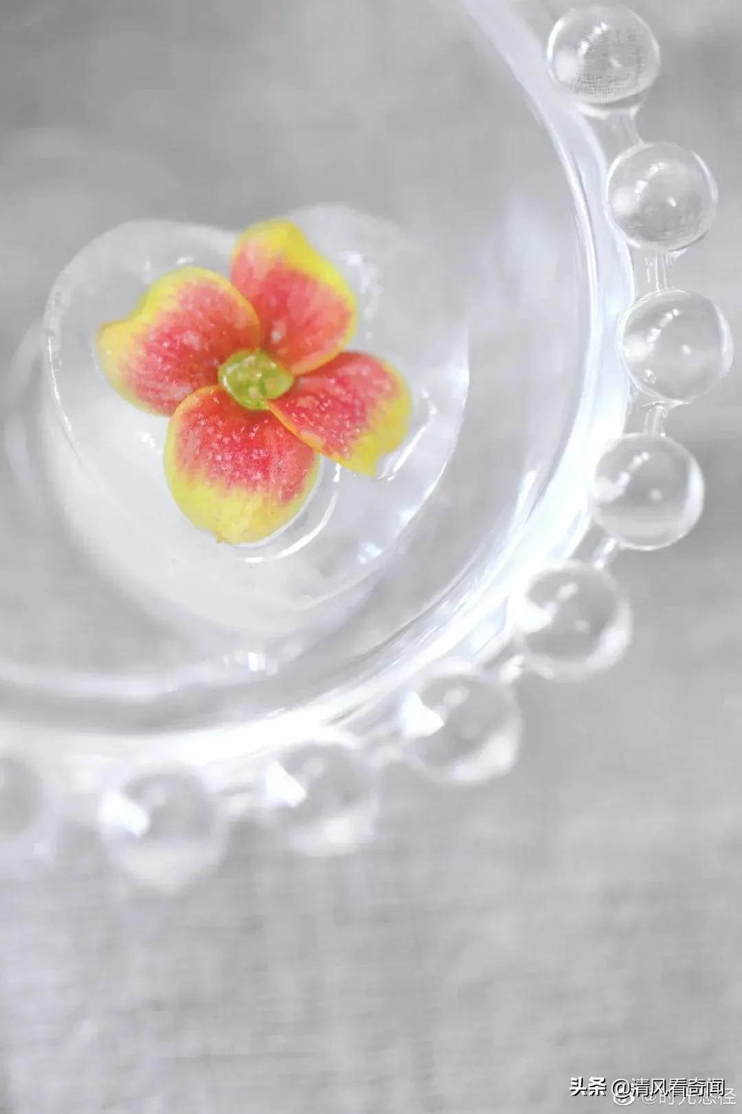 冻冰花美篇,冻冰花的美篇