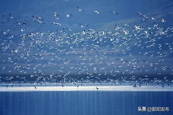 遇见美丽水乡,鄱阳鄱阳湖
