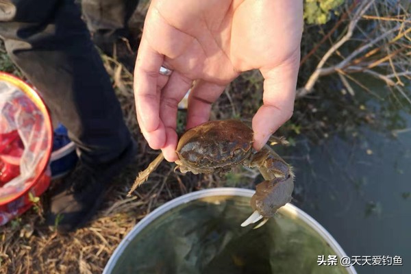 30块钱钓鱼一天,30块钱钓了3个小时的鱼