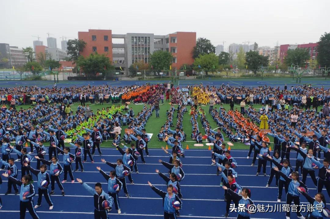 生命因运动而精彩节目串词,生命因运动而精彩小学展板设计