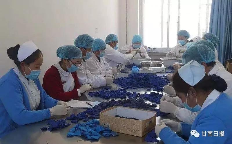 #甘南众志成城抗击疫情#「疫情防控甘南在行动」夏河：发挥藏医特色优势助力疫情防控