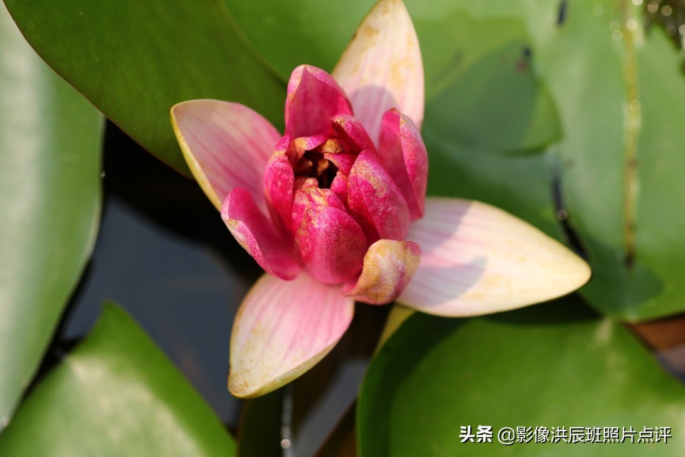 单反镜头有哪些小毛病,单反镜头容易碎吗为什么