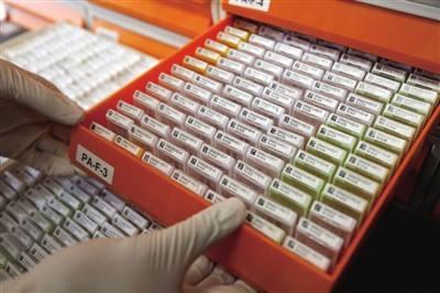 外科切下来肉该怎么处理,医院里手术切下来的东西哪里去了