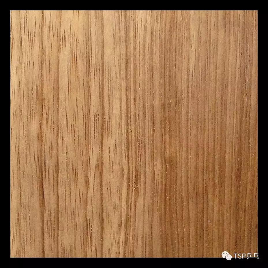 tspswatspeed底板,tspswatpower底板