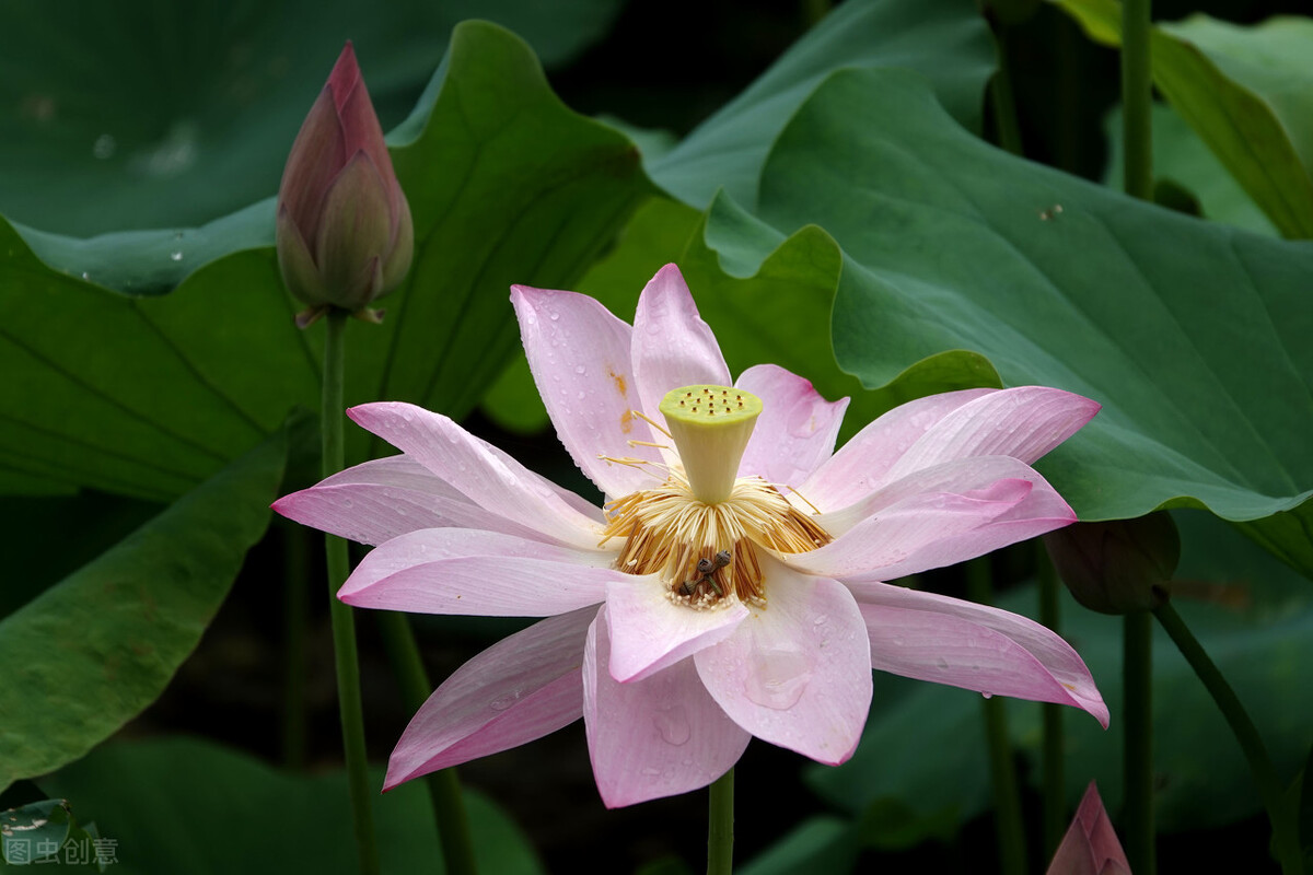 鍏诲績瀹夌瀹夊叏搴﹀,鍏诲績鍏荤敓鍋ュ悍搴﹀