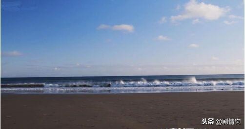 edius剪辑快速入门,edius教程新手剪辑