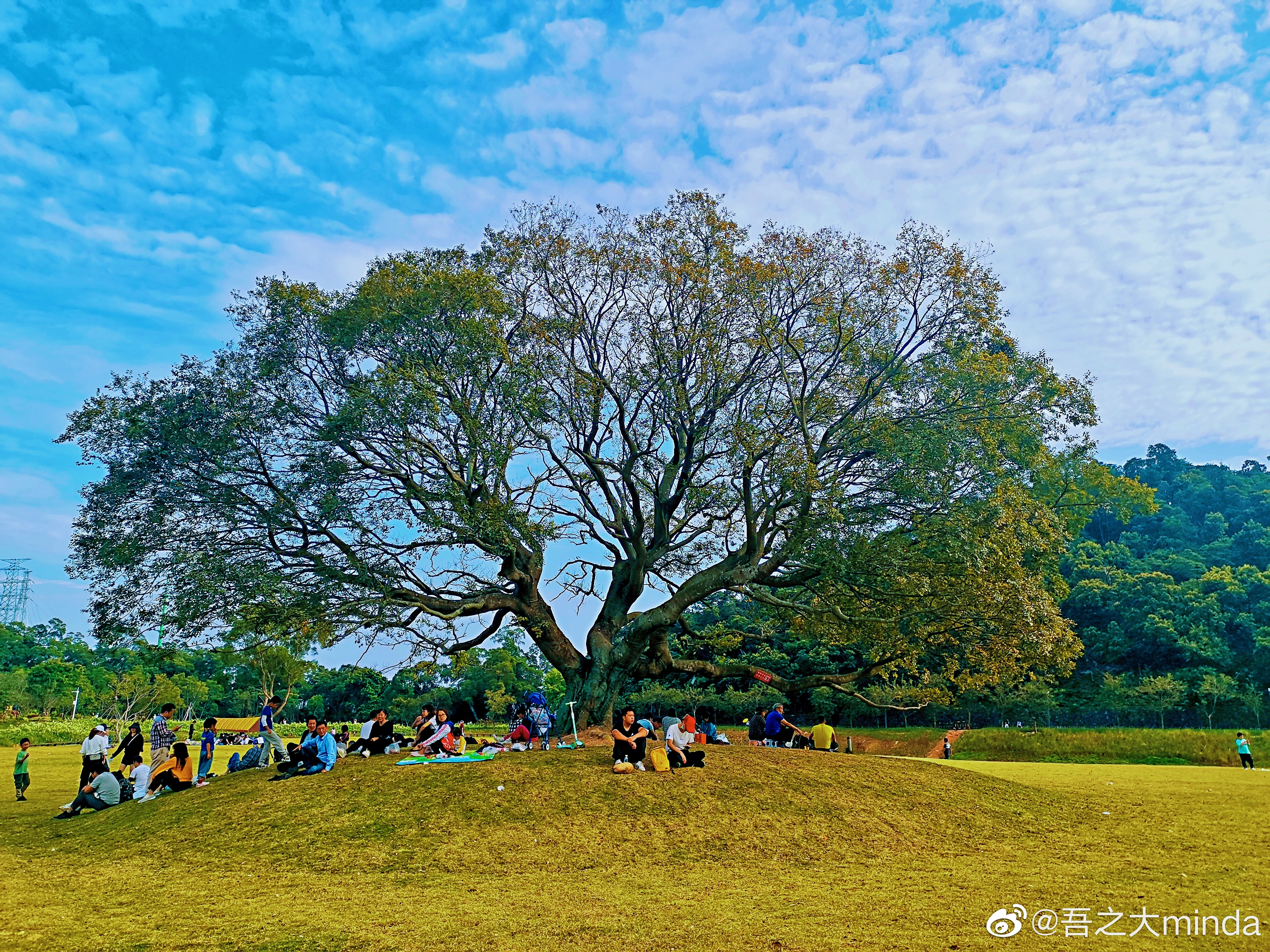 梧桐山下幽径,梧桐山下清风明月