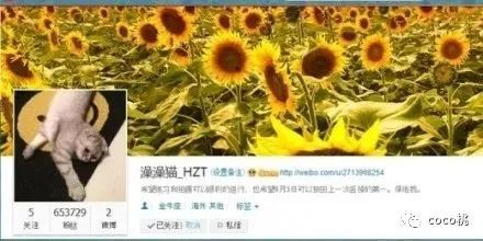 小透明女主角电视剧,小透明演员真实现状