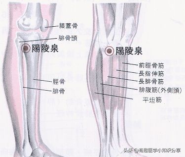 关于中医六大神奇点穴急救大法,点穴神功治病还能让人起死回生