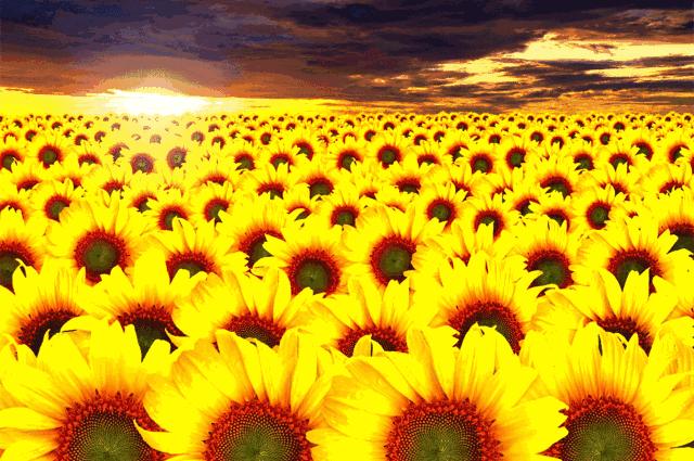 保持善良上天自会庇佑,保持厚道善良