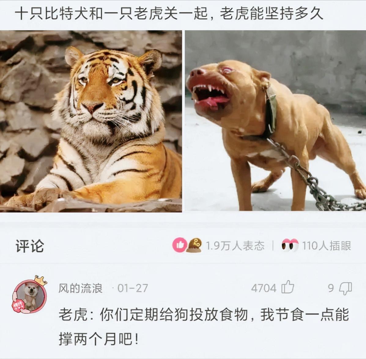 神评论吃不饱,为什么有些人说马肉不能吃