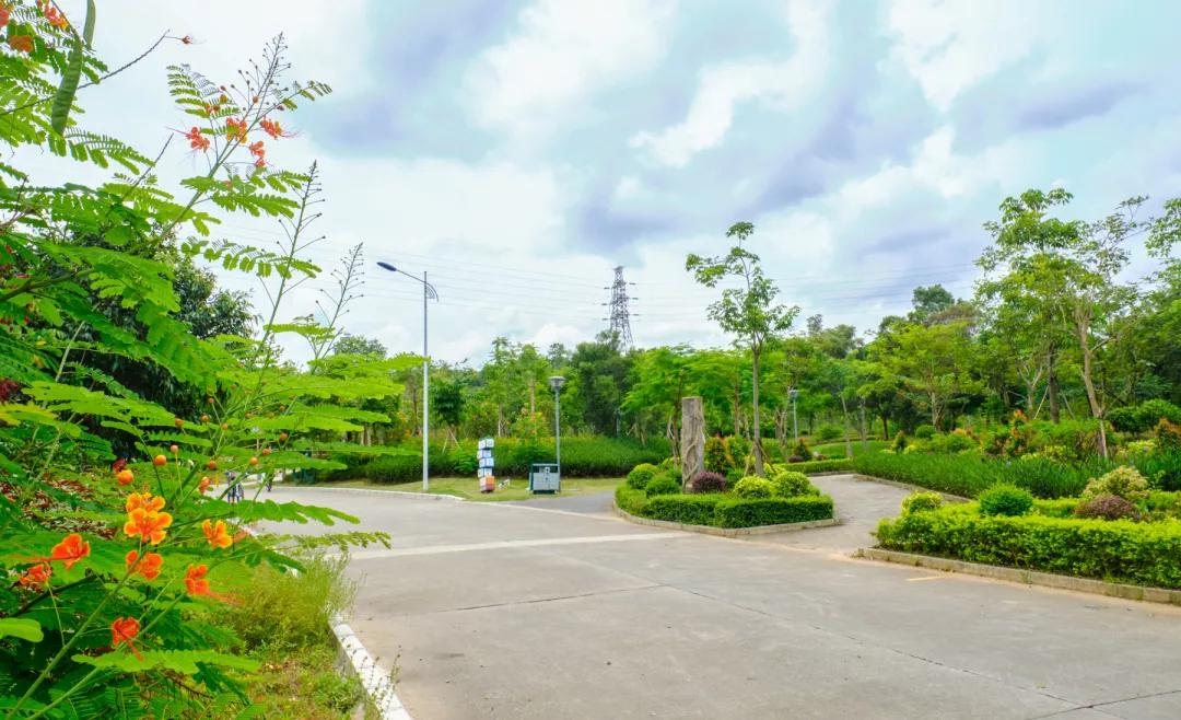 重庆轻轨10号线,10号线有什么玩的