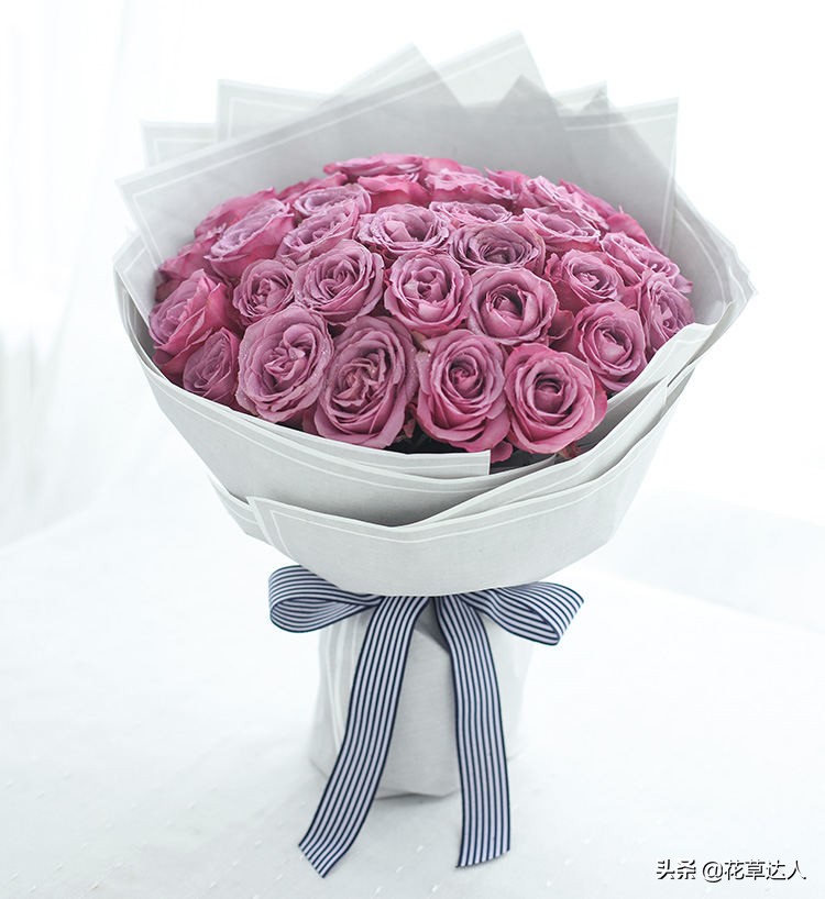 一朵粉色玫瑰3朵白色玫瑰花语,香槟玫瑰泡泡玫瑰的花语