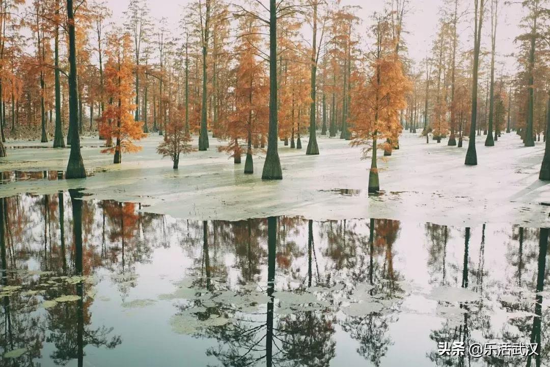 原来武汉有这么多好玩的打卡地,武汉周边新晋7大网红打卡地