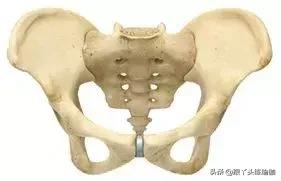 骨盆前倾和后倾的自我康复视频,骨盆前倾后倾评估和改善