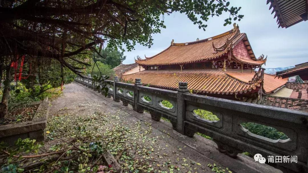 千年古镇枫亭,闽南枫亭千年古镇